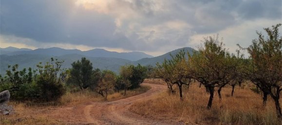 Земельный участок 15000м² в Гельдо, Испания № 165958 10