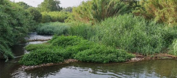 Земельный участок 15000м² в Гельдо, Испания № 165958 9