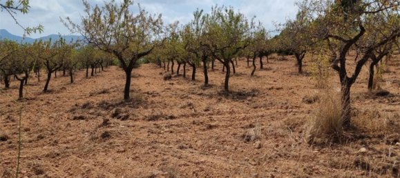 Земельный участок 15000м² в Гельдо, Испания № 165958 12