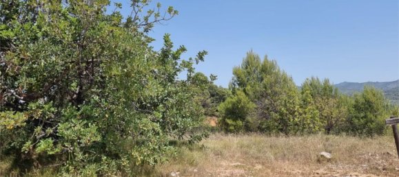 Земельный участок 15000м² в Гельдо, Испания № 165958 8