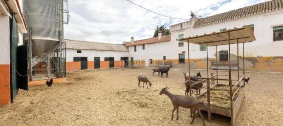  بناية في Granada, Spain 3640متر مربع رقم 180588 31