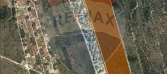 Terreno en Grandola, Portugal 311750 m² No. 79841 14