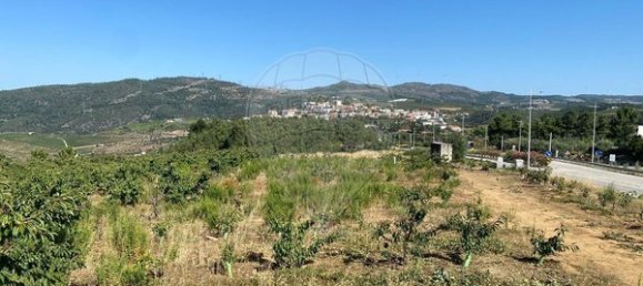 Terreno en Armamar, Portugal 10414 m² No. 62072 14