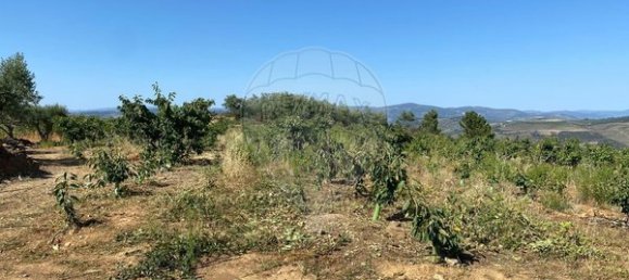 Terreno en Armamar, Portugal 10414 m² No. 62072 5