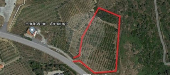 Terreno en Armamar, Portugal 10414 m² No. 62072 2