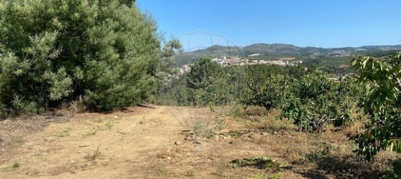 Terreno en Armamar, Portugal 10414 m² No. 62072 3