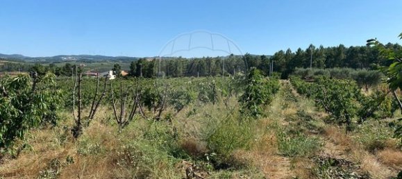 Terreno en Armamar, Portugal 10414 m² No. 62072 7