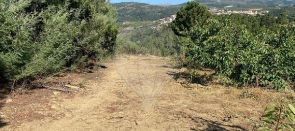 Terreno en Armamar, Portugal 10414 m² No. 62072 12