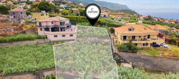 Grundstück in Ponta do Sol, Portugal, Nr. 297211 21