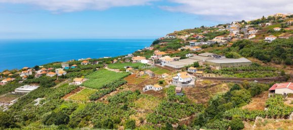 Grundstück in Ponta do Sol, Portugal, Nr. 297211 12