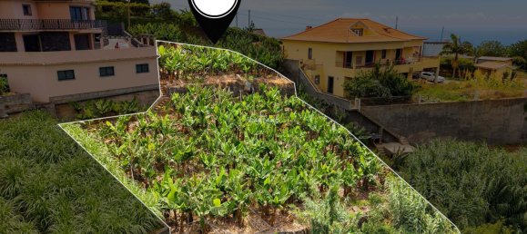 Grundstück in Ponta do Sol, Portugal, Nr. 297211 19