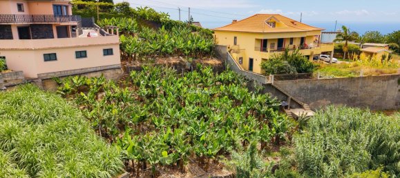 Grundstück in Ponta do Sol, Portugal, Nr. 297211 2