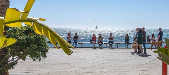 2 bedrooms Apartment in Torrevieja, Spain No. 96182 35