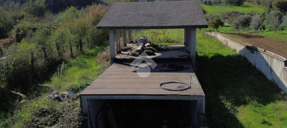 3 bedrooms House in San Cesareo, Italy No. 60457 7