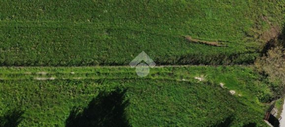 3 bedrooms House in San Cesareo, Italy No. 60457 4