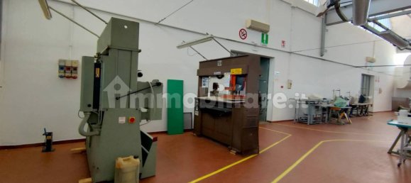 5 rooms Warehouse in Udine, Italy No. 275763 15