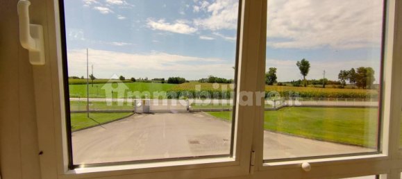 5 rooms Warehouse in Udine, Italy No. 275763 9