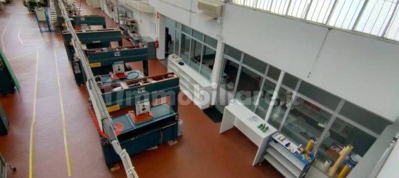 5 rooms Warehouse in Udine, Italy No. 275763 4