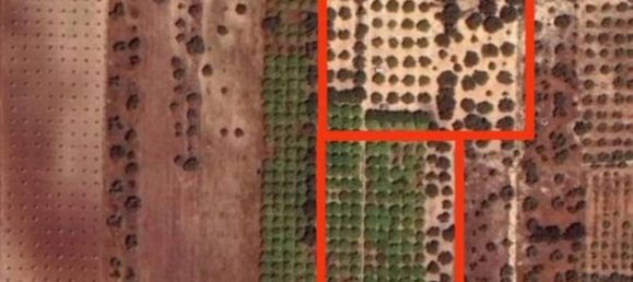 Grundstück in Noto, Italy 42000m², Nr. 353481 3