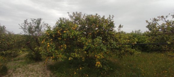 Grundstück in Noto, Italy 42000m², Nr. 353481 6