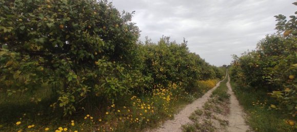 Grundstück in Noto, Italy 42000m², Nr. 353481 4