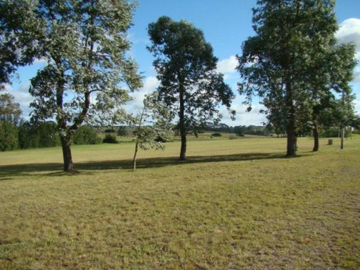  قطعة أرض في Maldonado, Uruguay رقم 16013