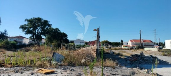 3700m² Land in Entroncamento, Portugal No. 144117 20