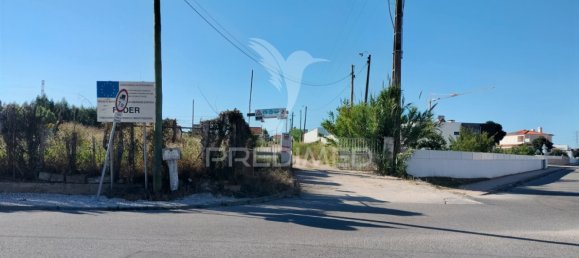 3700m² Land in Entroncamento, Portugal No. 144117 5