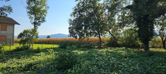 5-Zimmer Haus in Villafranca Piemonte, Italy, Nr. 105599 23