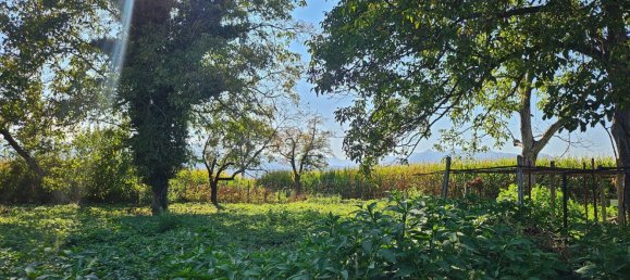 5-Zimmer Haus in Villafranca Piemonte, Italy, Nr. 105599 19