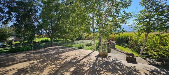 5-Zimmer Haus in Villafranca Piemonte, Italy, Nr. 105599 14