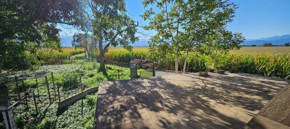 5-Zimmer Haus in Villafranca Piemonte, Italy, Nr. 105599 22