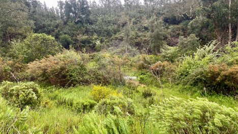  قطعة أرض في Saboia, Portugal 8250متر مربع رقم 47535