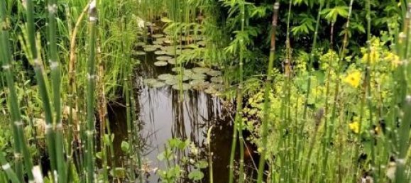 6غرفة منزل في Grosswilfersdorf, Austria رقم 129624 13