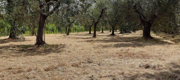 6 غرف نوم منزل في Larciano, Italy رقم 357367 15