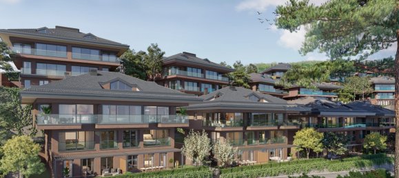 Apartment 3+1 in Istanbul, Turkey No. 24089 4