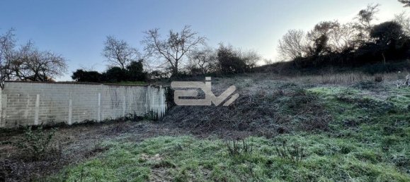  Land in Muizon, France No. 88442 5