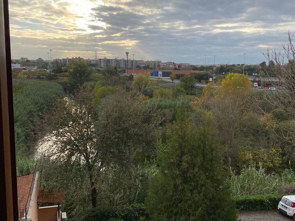 3غرفة عقار تجاري في Rome, Italy رقم 78570