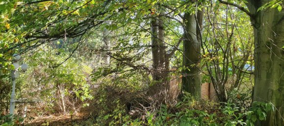 6غرفة بنغالو في Korschenbroich, Germany رقم 217788 13