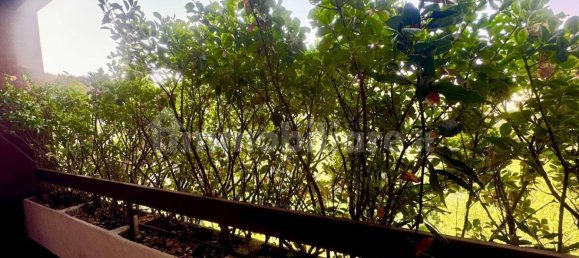 1 bedroom Apartment in Rome, Italy No. 251510 11