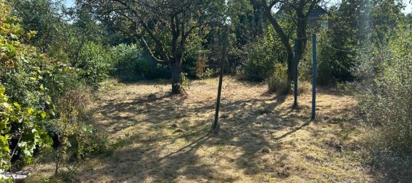 Бунгало с 3 спальнями в Люнебург, Германия № 126150 3