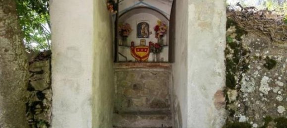 8 rooms House in Montalcino, Italy No. 159695 9