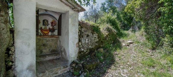 8 rooms House in Montalcino, Italy No. 159695 10