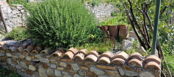 7 Schlafzimmer Villa in Santa Caterina dello Ionio, Italy, Nr. 344265 3