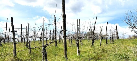 قطعة أرض في Montefalcione, Italy 4600متر مربع رقم 309149 7