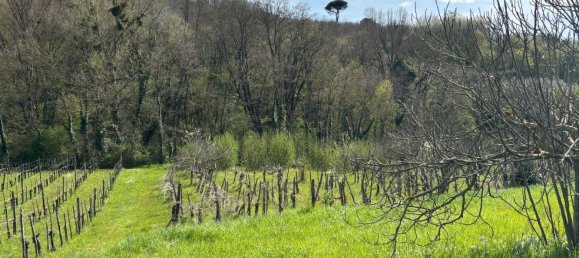 قطعة أرض في Montefalcione, Italy 4600متر مربع رقم 309149 5