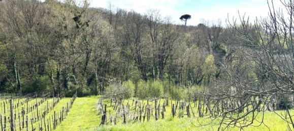 قطعة أرض في Montefalcione, Italy 4600متر مربع رقم 309149 4