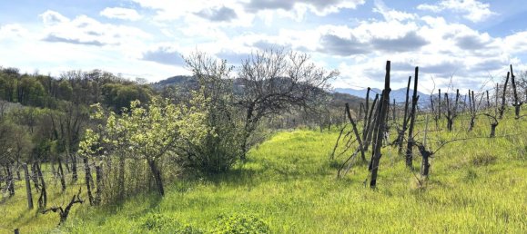 قطعة أرض في Montefalcione, Italy 4600متر مربع رقم 309149 9