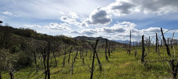 قطعة أرض في Montefalcione, Italy 4600متر مربع رقم 309149 8