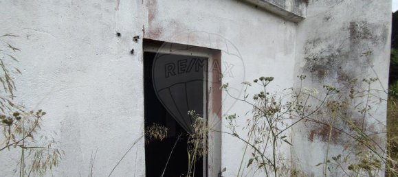 4 غرف نوم منزل في Asseiceira, Portugal رقم 187170 13